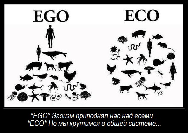 Новости и сообщения из официальной группы Вконтакте
