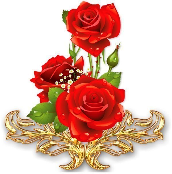 Красивые Розы Для Надписи Поздравления