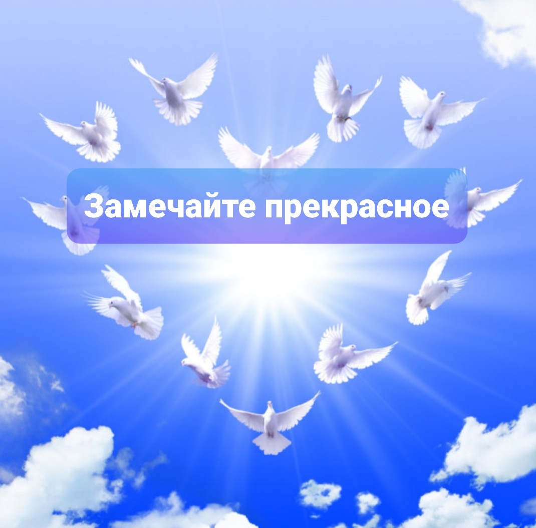 Белые птицы в небе