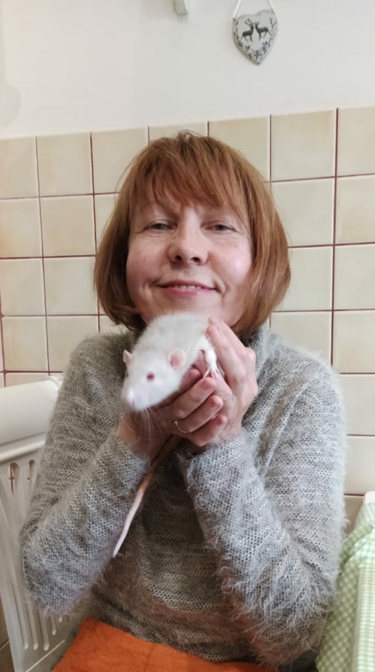 ������ ��������