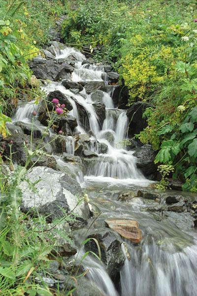 ������� ��������