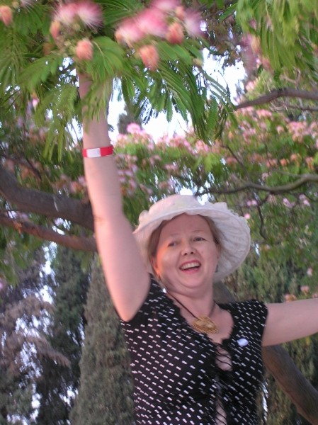 ������� ��������