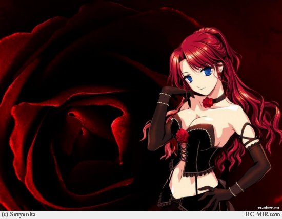 ����� �����