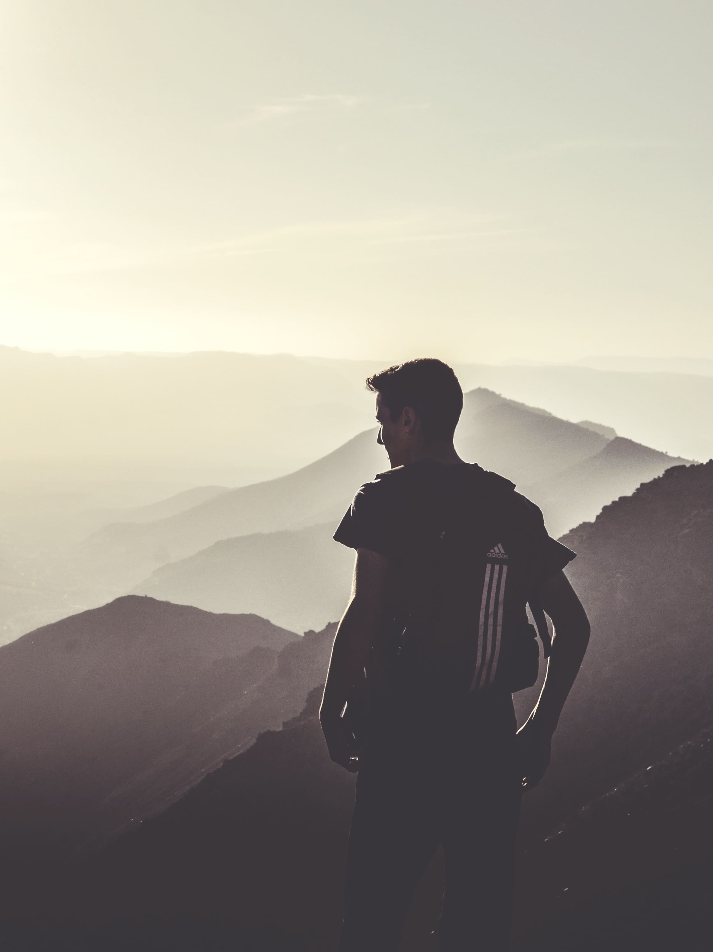 директор завода ротор барнаул. боец беллатор тяжеловес россия. тай алтаев. как продвигать алтай. тай алтаев.