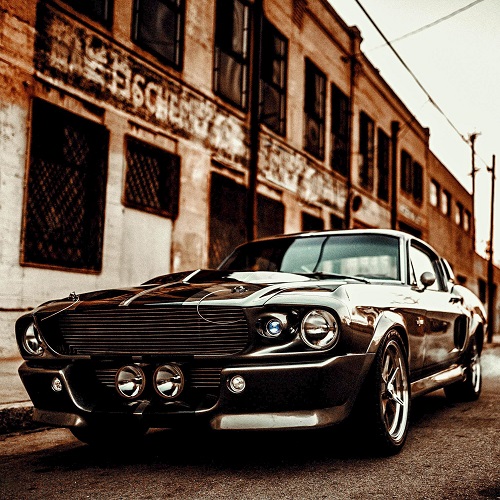 ��������� ���