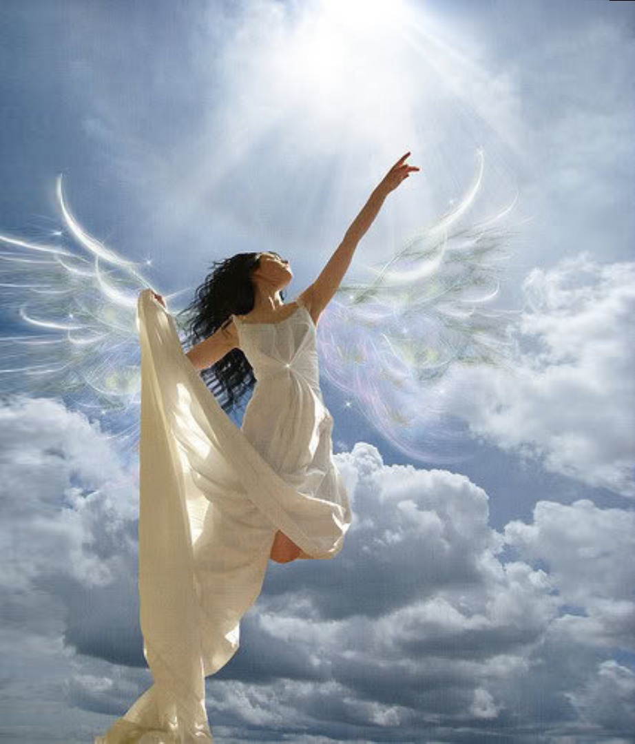 ������ ��������