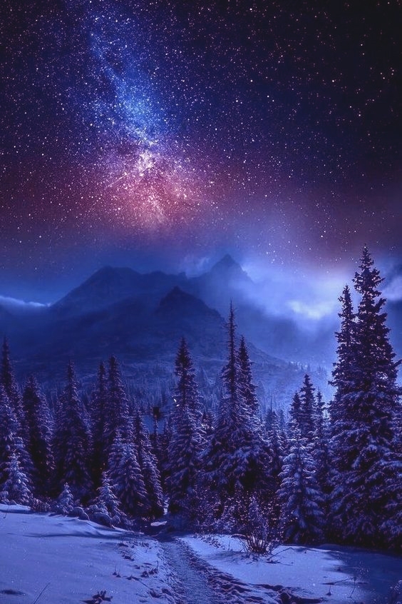 Марианна Верес