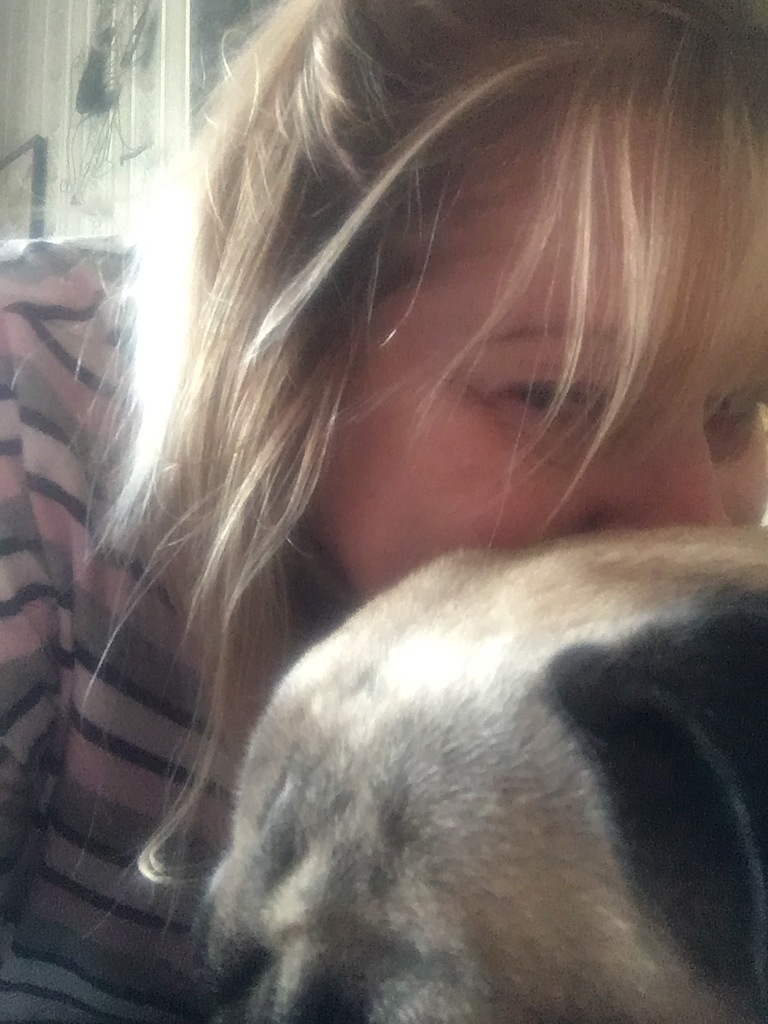 ������ ����