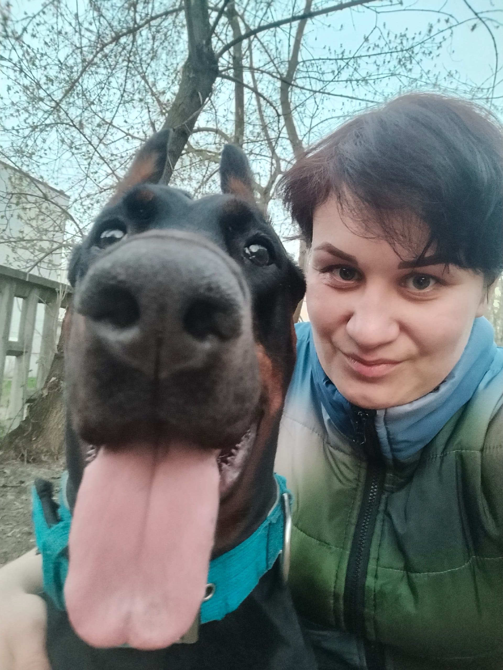 �������� ���������