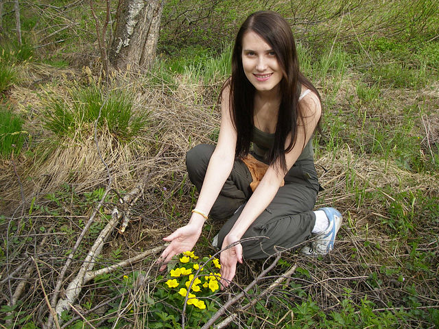 ��������� ˸��