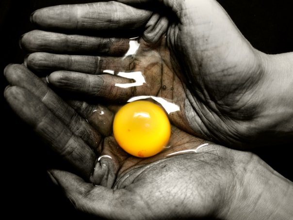 ������ ��������