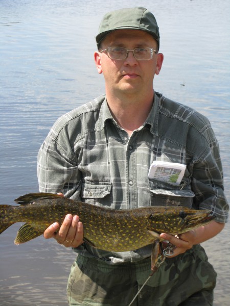 �������� ���