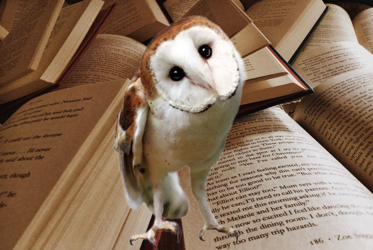 Карина Крах