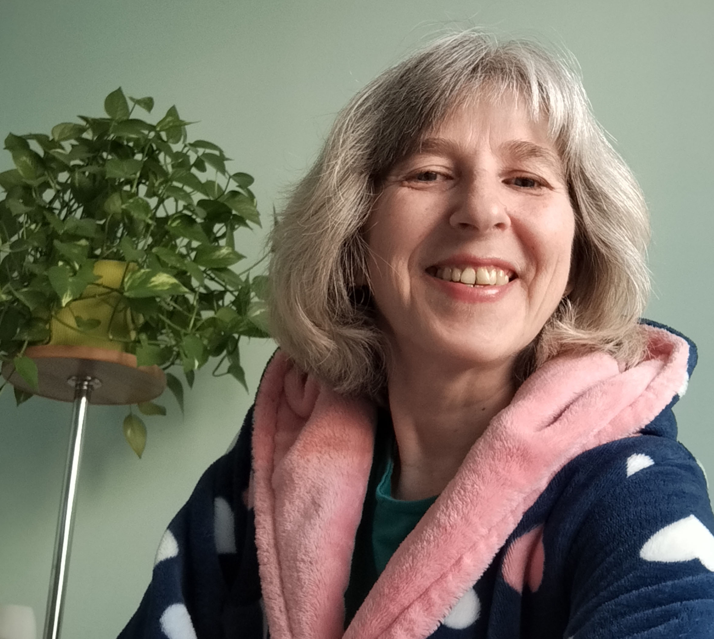 ������ ����������