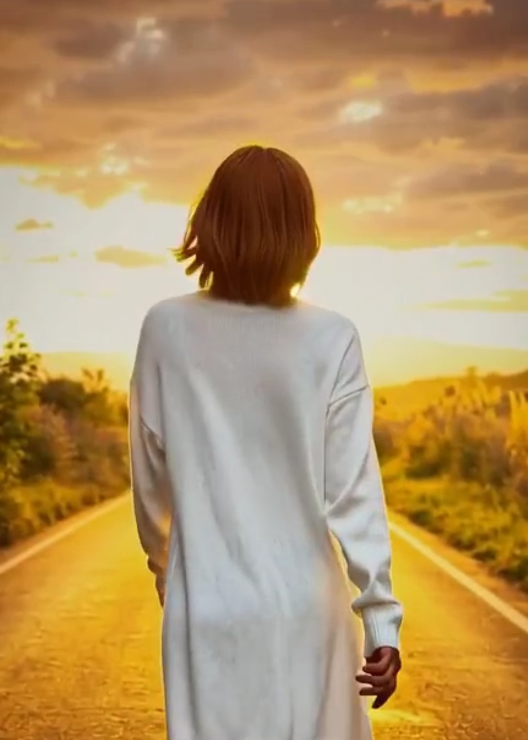 ���� ���������-���