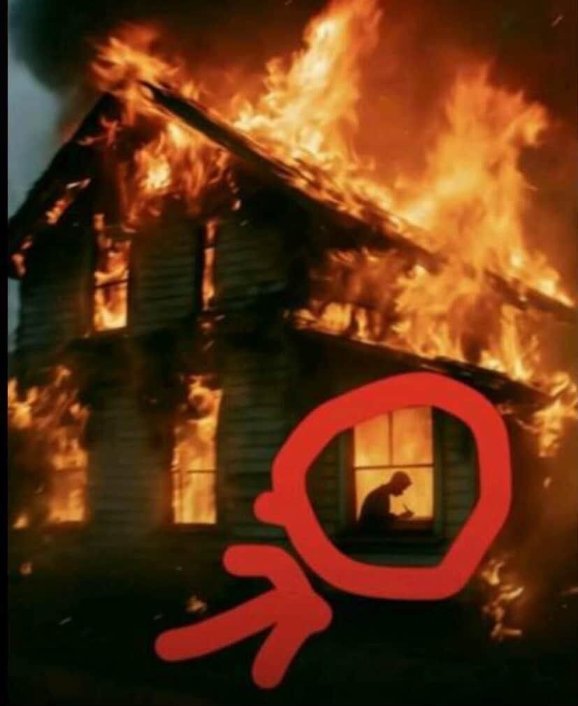 ���� ����