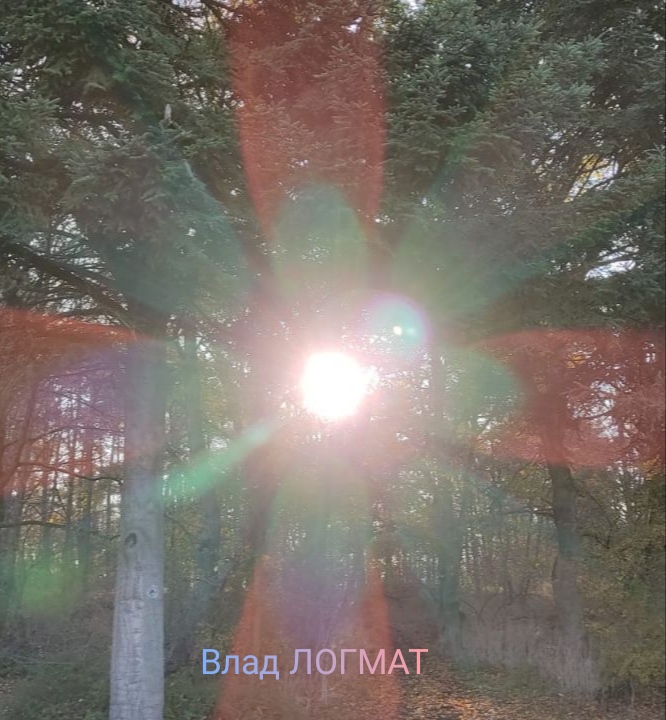 Влад Логмат