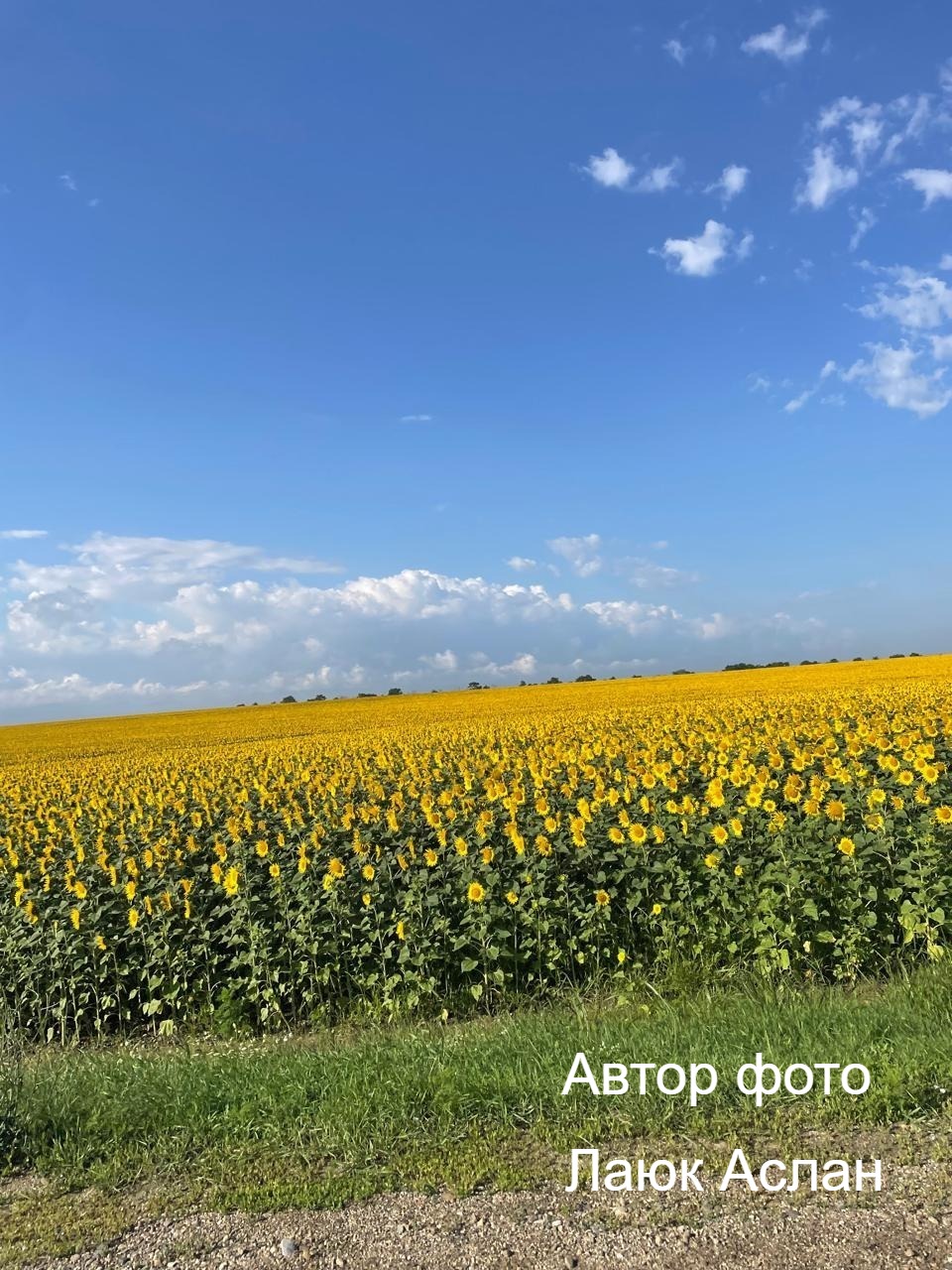 Махмуд Лаюк