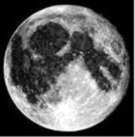 Лунный Заяц
