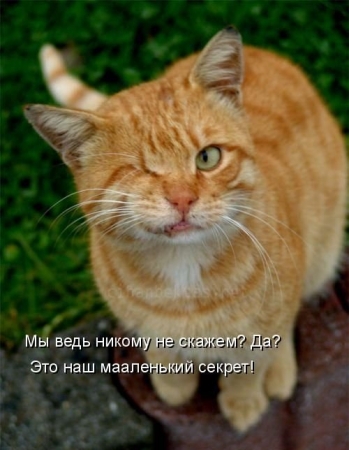Ҹ