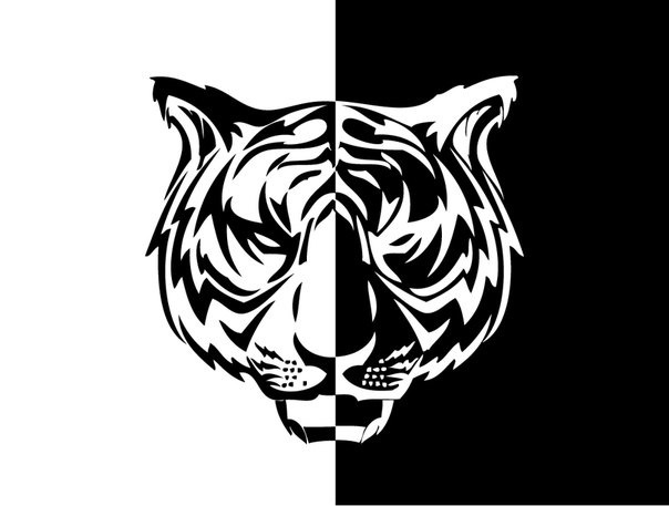 ������ ����