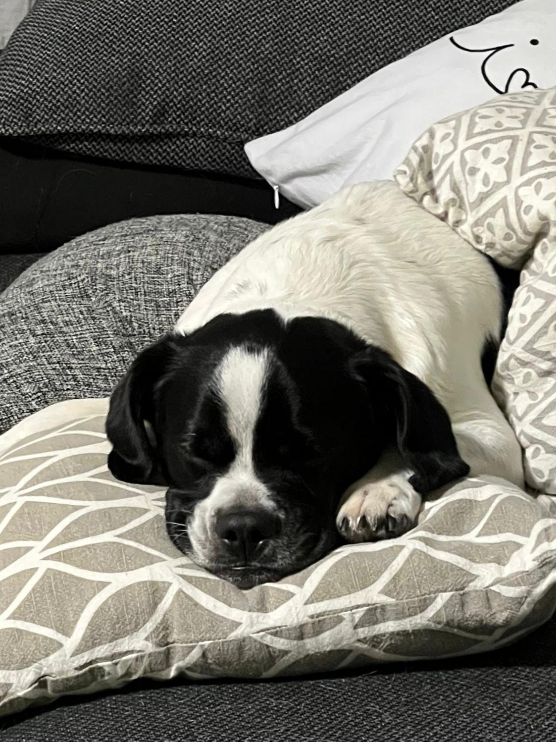 ����� ������ 2