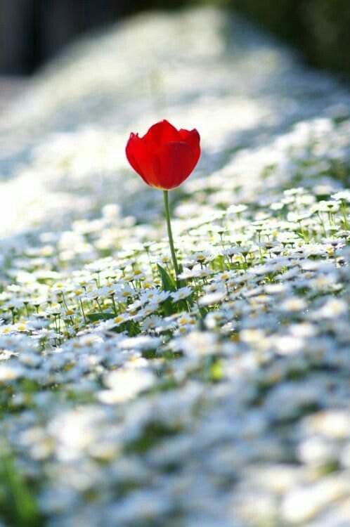 ����� ������� 11