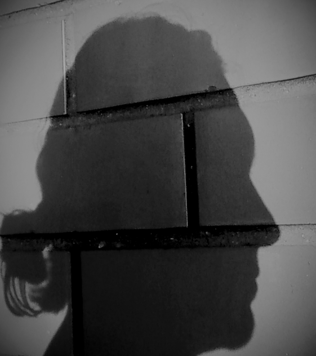 ���� �������