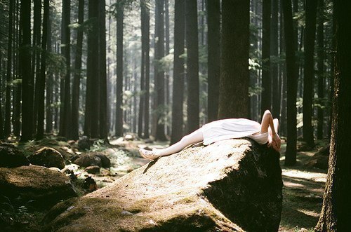 �������� �����������