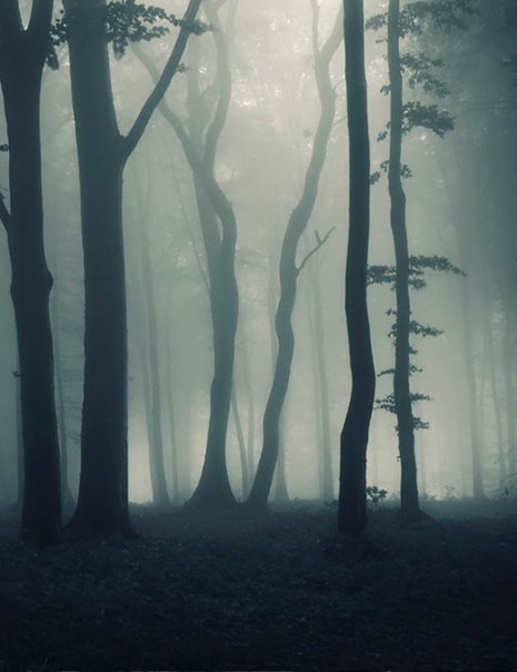 ������ ������