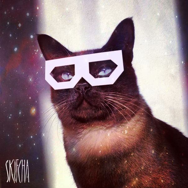 ������ ���