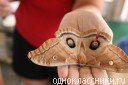 Аня Скиппина