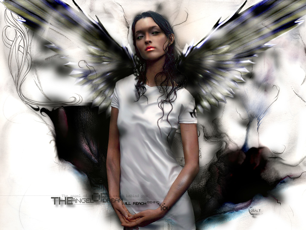 ������ ����