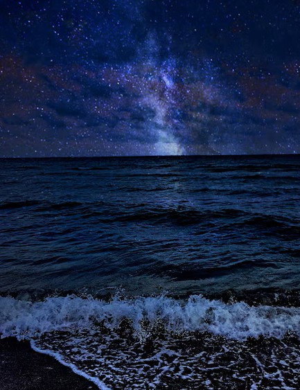 ��� ����������