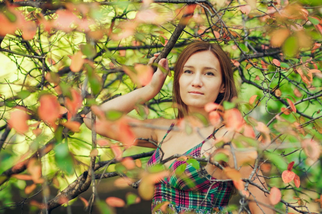 �������� �������