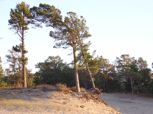 �������1