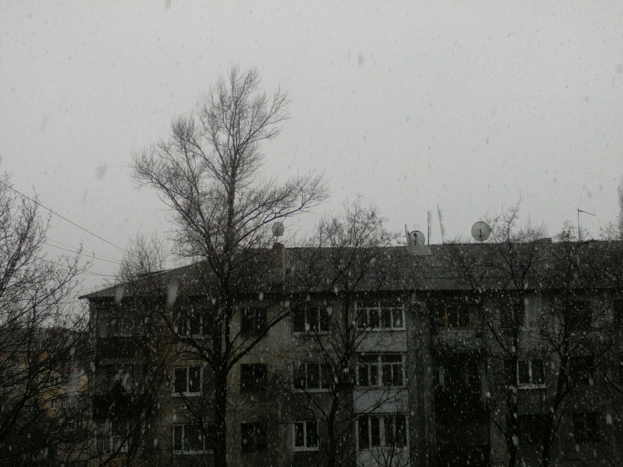 Зоренко Александра