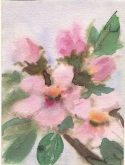 Нужен ли новый педагогический саженец?