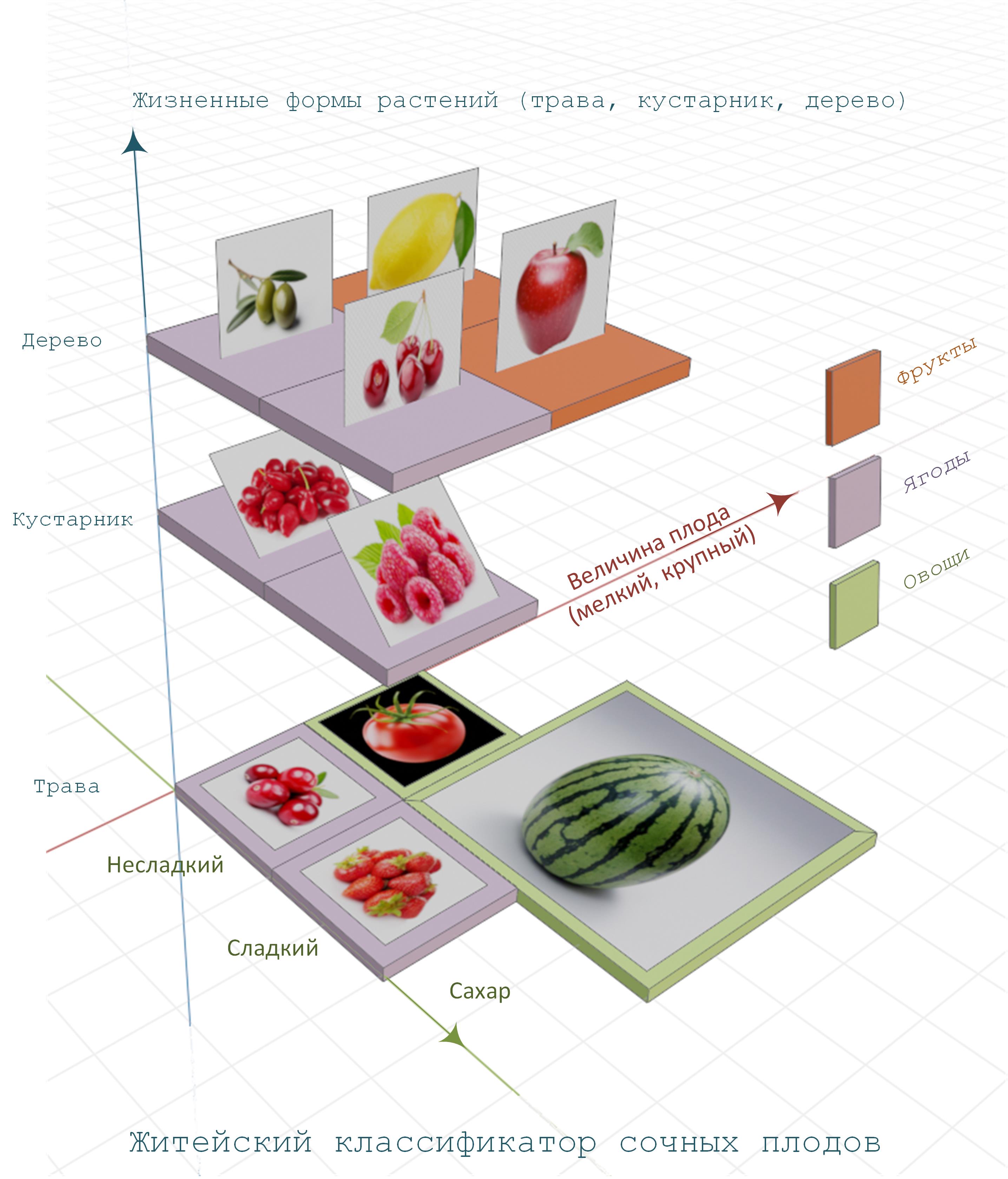Арбуз. История предательства и равнодушия