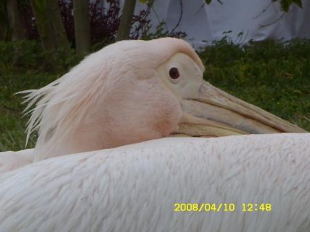 Чародеи. Правила игры. Часть 2