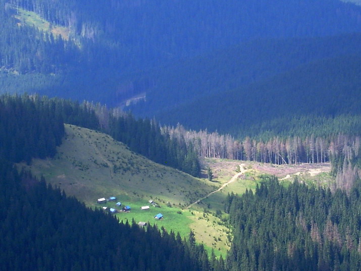 Вдохновение в облаках ищите