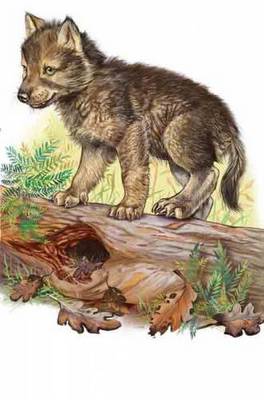 Воспитание волков...