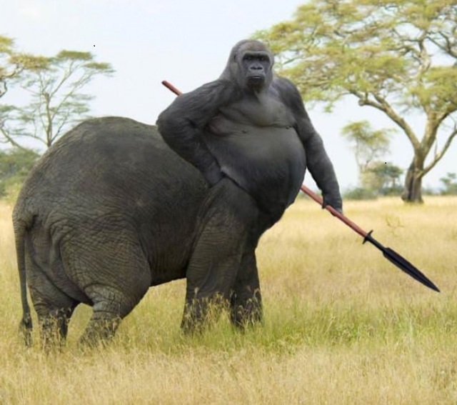 Братья большие и братья меньшие