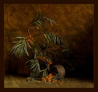 Нецензурная ягода...