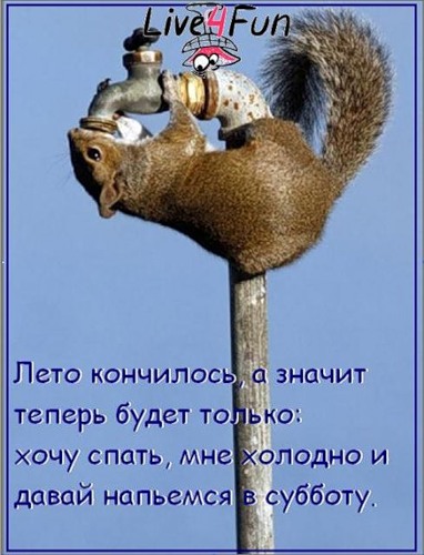 Осень привалила и задождила!