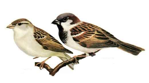 Просто жизнь