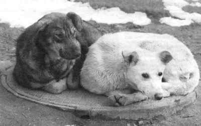 Про Солнечный...