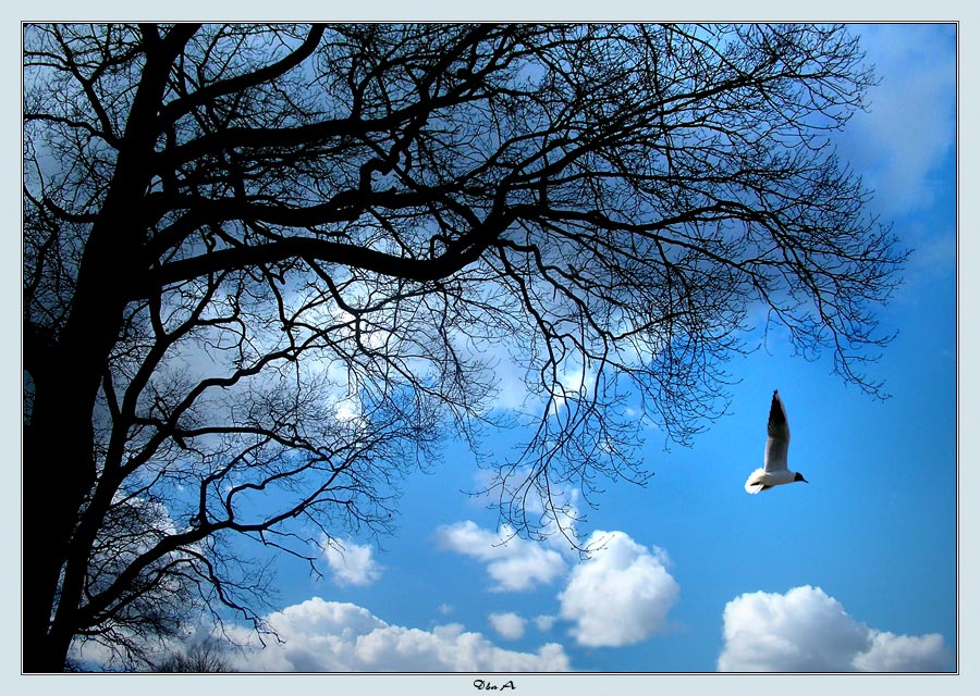 Орешник и Тучка