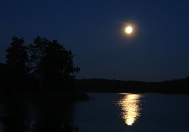 Луна распласталась на тихой воде. Золотою лягушкой Луна. Золотою лягушкой Луна распласталась на тихой воде. Лягушка на Луне. Озеро Луна коса темно.