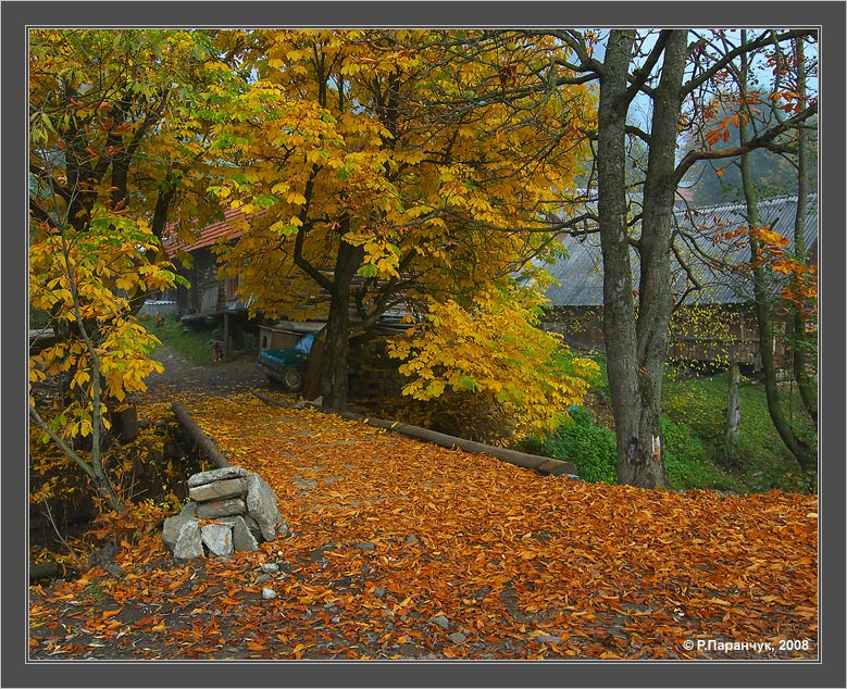 Осинники старые фото